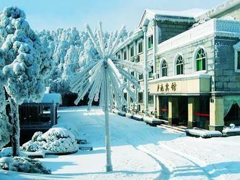 فندق Luyang في  لو تشي هوتل - لوشان المظهر الخارجي الصورة